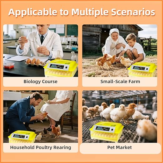 Egg Incubator for Hatching Eggs, Automatic Egg Turner & Digital Humidity Control, 56 Egg Capacity, Clear Temperature Display, Externa, 360° Clear Viewing for Poultry, Ducks, Quail (48-56 Eggs) - Image 8