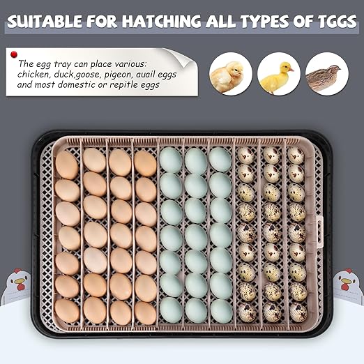 Sailnovo Incubators for Hatching Eggs 70 Egg Incubator with Automatic Egg Turning and Auto Humidification, Temperature Control, Incubator for Chicken Duck Quail Eggs, Perfect for Lab School Farm Use - Image 7