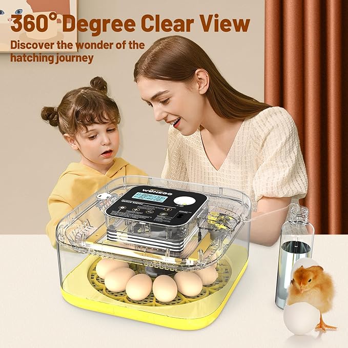Incubator for Hatching Eggs, 12 Eggs Incubator with Automatic Egg Turning, Temperature & Humidity Control, LED Egg Candler, Incubation Days Display, for Chicken, Duck, Quail, Parrot Bird Eggs - Image 8