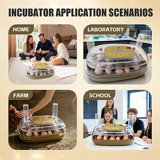 Incubators for Hatching Eggs, 24 Egg Incubator with Automatic Egg Turning and Humidity Control, Egg Candler, 360° Viewing, Chicken Incubators for Hatching Eggs, Quail Eggs, Duck Eggs Poultry - Image 9