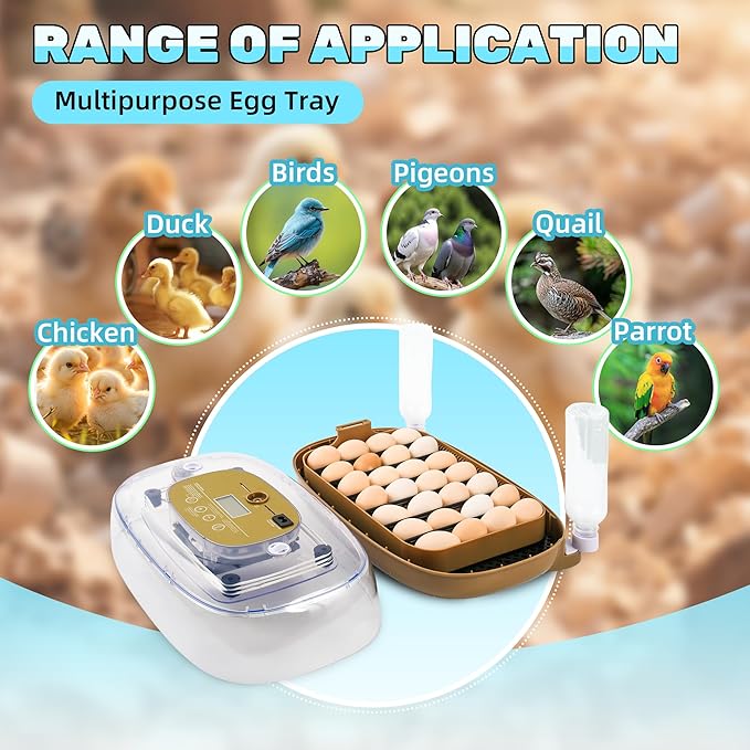 Incubators for Hatching Eggs,24 Egg Incubator with Automatic Egg Turning and Humidity Control,Egg Candler,Air Vent,360° Viewing for Chicken,Duck Eggs,Ideal for Farm,Classroom,Home Use - Image 2