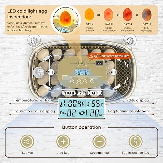 24 Egg Incubator for Hatching Eggs with Temperature and Humidity Control, Auto Turning & LED Candling for Chicken Duck Quail Birds, Ideal for Home Farm, Classroom, Beginners - Image 2