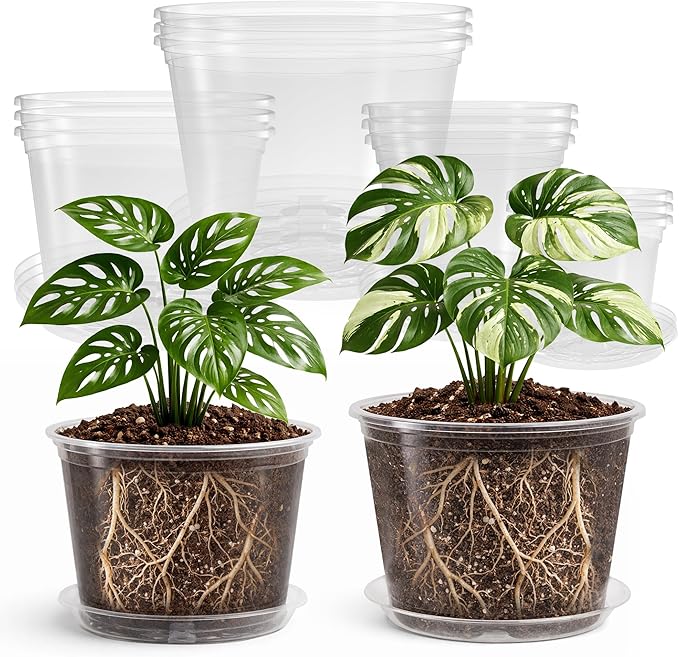 12 Pack 10/8/6/5 Inch Reinforced Large Clear Nursery Pots with Sacuers, Transparent Variety Pack Plastic Plant Pot with Drainage Holes for Vegetable Propagation, Root Cutting, Seed Starting by Bluepro