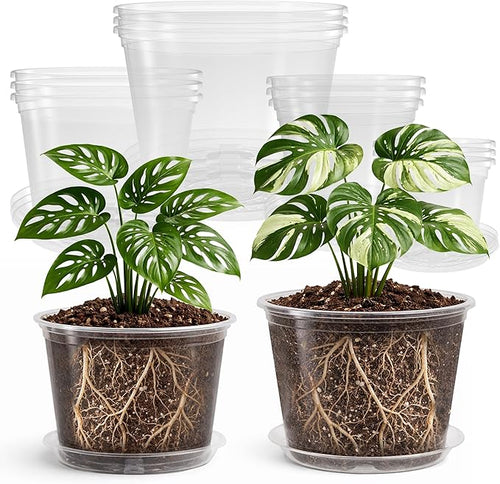 12 Pack 10/8/6/5 Inch Reinforced Large Clear Nursery Pots with Sacuers, Transparent Variety Pack Plastic Plant Pot with Drainage Holes for Vegetable Propagation, Root Cutting, Seed Starting by Bluepro
