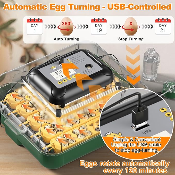 63 Egg Incubator for Hatching Eggs with Automatic Egg Turning, Temperature & Humidity Display, Hatch Day Countdown, Auto Water Refilling System, Egg Candler, Multifunctional Egg Tray for Chicken - Image 2