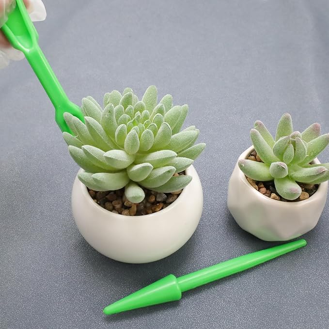 Antrader Mini Garden Hand Succulent Transplanting Tools for Indoor Gardening Plant Care, Set of 6, Green - Image 6