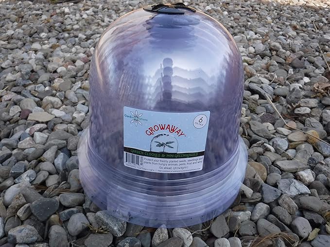 6-Pack! GrowAway Medium Reusable Plastic Mini Greenhouse, Cloche Dome, Plant Covers for Frost Guard Freeze Protection Outdoors, Garden Tools and Accessories - 10.24"Diam. x 7.48"H - Image 5