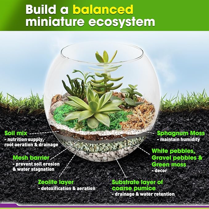 DUSPRO Recycle Terrarium Kit, Include Potting Soil, Pumice, Zeolite, Green Moss, Sphagnum Moss, Decorative Stone, Mesh, Tools, DIY Terrarium Kit for Kids, Air Plant, Succulent - Image 3