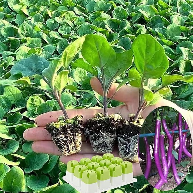 Seed Starter Tray, Seed Starting Trays with Adjustable Ventilation Humidity Planting Pot Plant Starter Kit Greenhouse Propagator Biodegradable Seedling Germination Trays Xmas (Green) - Image 6