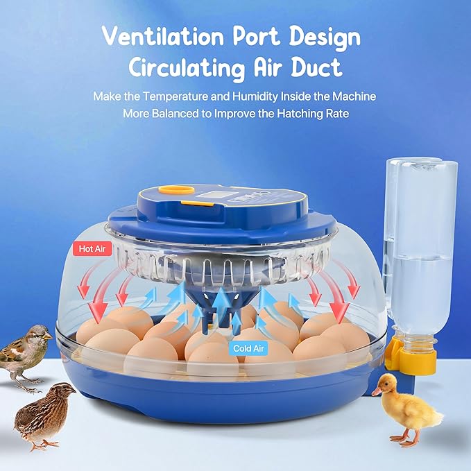 18-36 Eggs Incubators for Hatching Eggs with Automatic Egg Turning and Humidity Control, for Chicken, Duck, Quail, Goose, Parrot Eggs - 360° View for Farm, Classroom, Home Use - Image 2