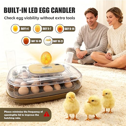 Incubators for Hatching Eggs, 24 Egg Incubator with Automatic Egg Turning and Humidity Control, Egg Candler, 360° Viewing, Chicken Incubators for Hatching Eggs, Quail Eggs, Duck Eggs Poultry - Image 6