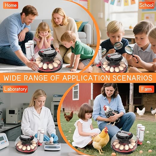 12 Egg Incubator for Hatching Eggs, Automatic Turner with Digital Temperature Humidity Control, 360° Clear View Lid, Auto Water Refill & Built-in Candler for Chicken Duck Quail Birds - Image 5