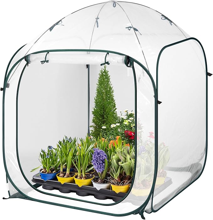 VIVOSUN 49x49x63-Inch Portable Walk-in Greenhouse, with PVC Cover & Detachable Base, Instant Pop-up and Folding, Mini Greenhouse with Roll-Up Door & Mesh Window for Indoor Outdoor, Wind Ropes Included by VIVOSUN