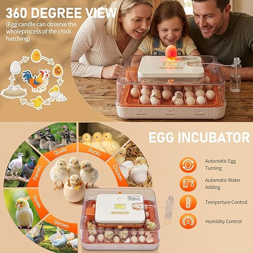 Winado Incubators for Hatching Eggs, 56 Egg Incubator with Automatic Egg Turning, Temperature & Humidity Control, Egg Candler, Automatic Water Filling and Day Counter for Eggs Hatching - Image 9