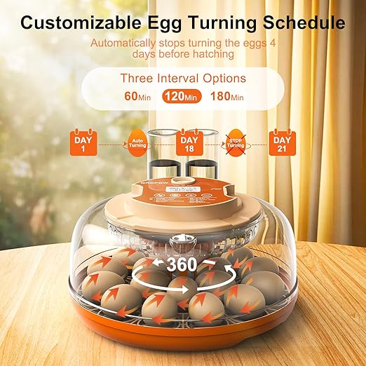 18 Egg Incubator, Automatic Turning with Temperature & Humidity Control, Egg Candler, 360 View with Air Vent, Auto Water Bottle Refill, Chicken Incubator for Hatching Eggs - Image 2