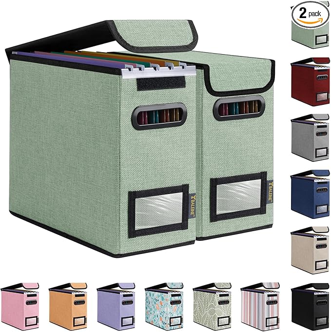 BALEINE File Organizer Box with Lid, Collapsible File Folder Organizer with Plastic Slide, Hanging File Folder Box for Office Document Storage (2 Pack, Green, S) by BALEINE