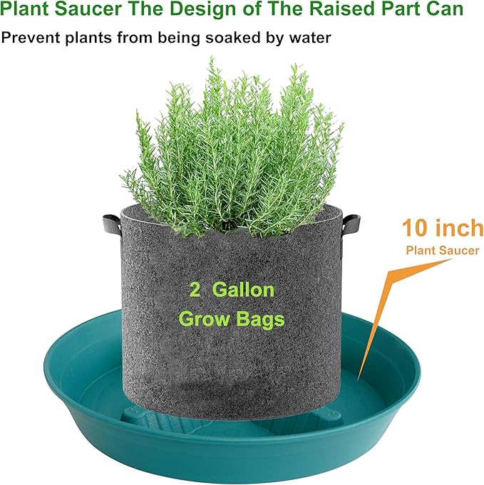 4 Pack Plant Saucer 10 inch, 8 12 14 17 inch, Plant Stand Plastic Plant Saucers for Indoors Outdoor, Heavy Duty Flower Plant Risers for Inside Pots, Pot Saucers for Plants, Grow Bags Saucers - Image 3