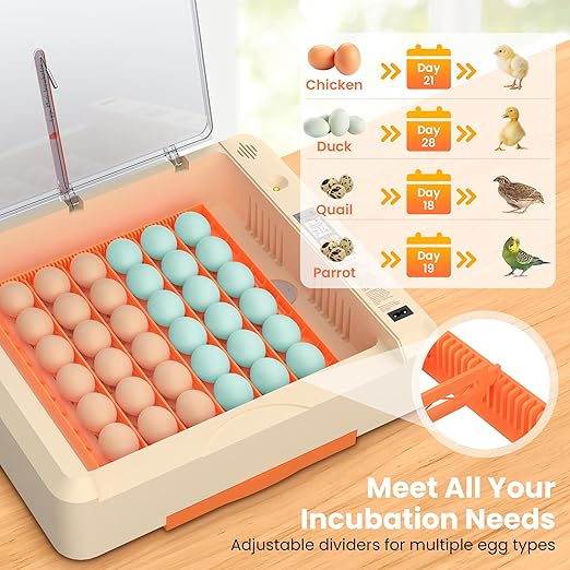 36-60 Egg Incubator with Automatic Egg Turning and Humidity Control, Adjustable Chicken Egg Incubator with Digital Display, for Hatching Eggs Include Chicken Duck Quail Eggs(Orange) - Image 6
