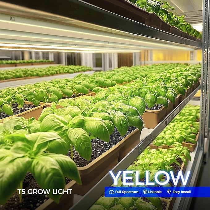 Barrina T5 Grow Lights, Full Spectrum Grow Light, 3ft 128W (8 x 16W, 800W Equivalent), LED Grow Lights for Indoor Plants, Ideal for Indoor Plants, Plant Grow Shelf, Plug and Play, Yellow, 8-Pack - Image 2