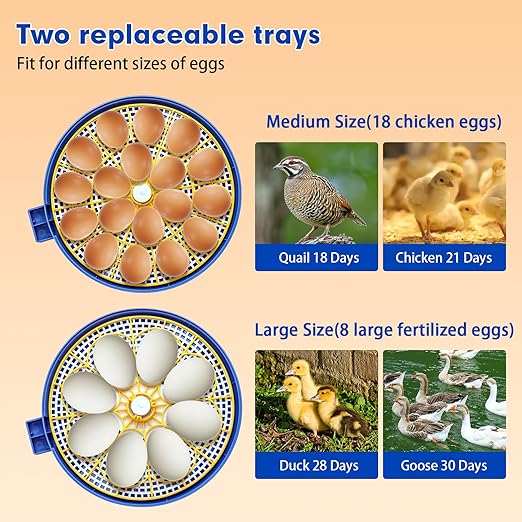 18 Egg Incubator Automatic Egg Turner Temperature & Humidity Control, Incubators for Hatching Eggs, Chicken, Ducks, Goose, Pigeon, Quail, Parrot Incubator Farm,Lab,Science Classroom,Home (Blue-18 Egg) - Image 3