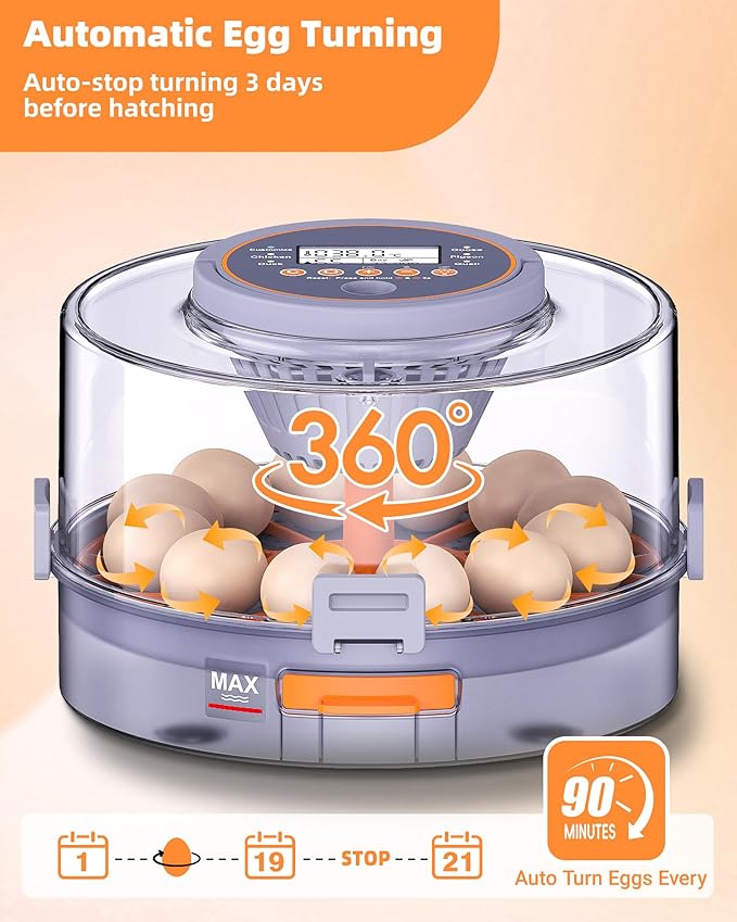 Incubators for Hatching Eggs, 12 Chicken Incubator with Automatic Egg Turning and Humidity Control, Baby Chick Cozy Supplies with Egg Candler for Quail, Chickens, Duck, Goose - Image 5