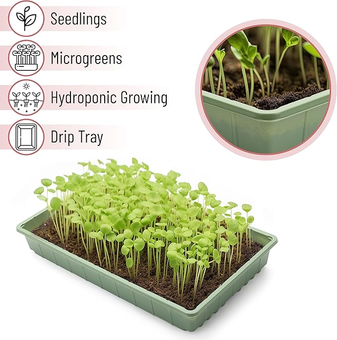 Mr. Pen-Plastic Growing Trays, 5 Pack, Plant Tray, Seed Tray, Propagation Tray - Image 4