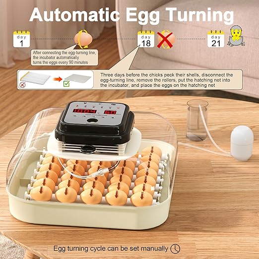 35 Eggs Incubators for Hatching Eggs,Egg Incubator with Automatic Egg Turning and Humidity Control,Chicken Egg Incubator with Egg Candler, Incubator for Chicken, Duck, Goose, Pigeon, Quail - Image 5