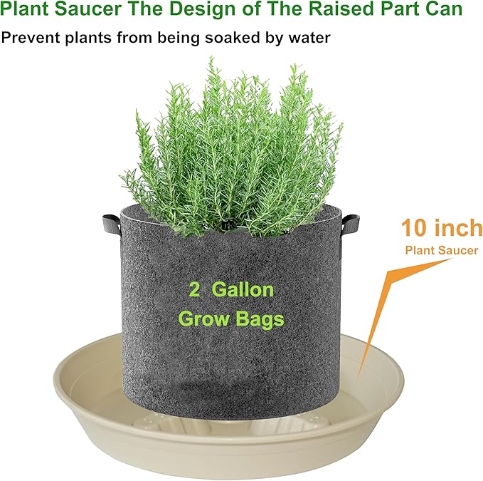 4 Pack Plant Saucer 10 inch, 8 12 14 17 inch, Plant Stand Plastic Plant Saucers for Indoors Outdoor, Heavy Duty Flower Plant Risers for Inside Pots, Pot Saucers for Plants, Grow Bags Saucers - Image 4