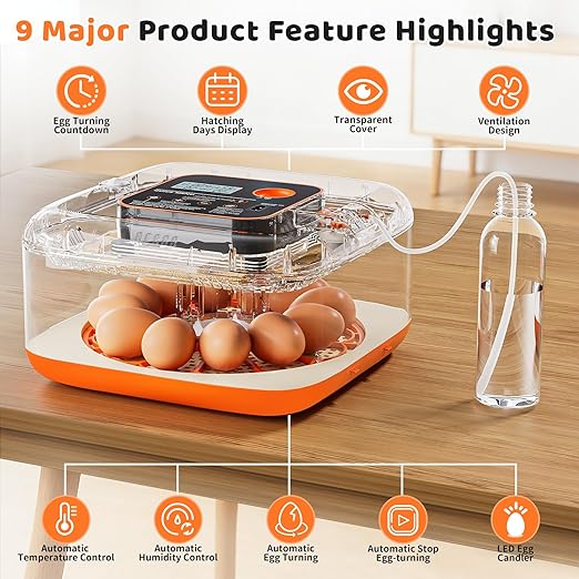 Incubators for Hatching Eggs 12 Egg Digital Egg Incubator Precision Auto Temp Humidity Control 6 Gear Adjustable Auto Turner Auto Stop Turning Hatching Days Display for Chicken Duck Goose Eggs - Image 2