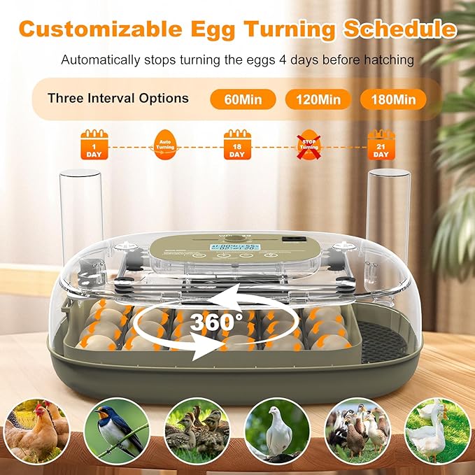 24 Egg Incubators for Hatching,Automatic Egg Turning and Temperature Control Humidity Display,Hatch Day,Automatic Water Refill,360° Viewing for Chicken Quail Duck - Image 5