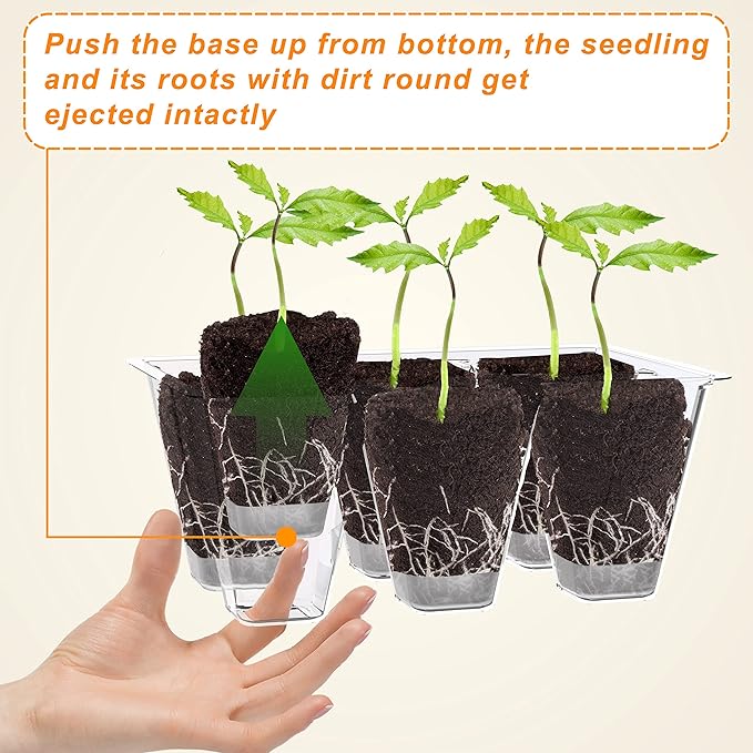 Gardzen 10 Pack Push-Up Seed Starting Tray, Pop Up Plant Germination Trays, Seed Starter Kit with Adjustable Humidity Vented Dome, 6.6" x 4.5", Total 120-Cell, Clear - Image 4