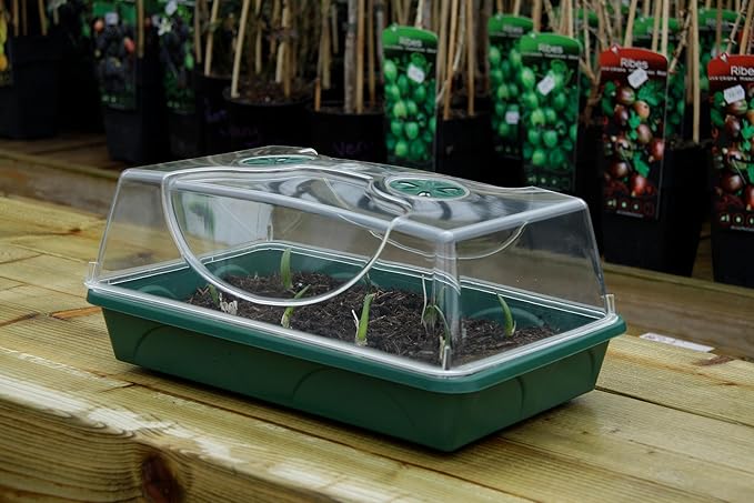 EarlyGrow Medium Seed and Herb Domed Propagator with Vented Side Height Extension and Security Clip Set,Green - Image 8