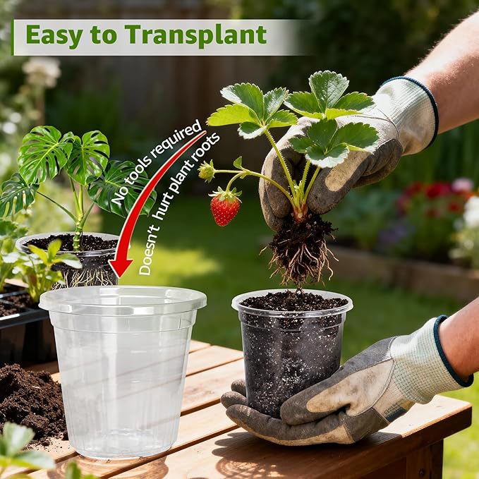 MIXC Clear Nursery Pots with Drainage Holes, 7/5/4 Inch Reinforced Transparent Plastic Seed Starter Pots, for Indoor Outdoor Gardening Seedling Planter, 30 Pack - Image 4
