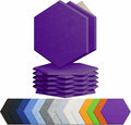 12 Pack Acoustic Panels Self Adhesive Sound Proof Foam, High Density Sound Acoustic Panel, 12X10.23X0.4 Inch Hexagon Panels in Home, Office, Reccording Room, Studio,and more(Violet) by Amantech
