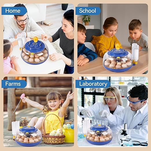 18 Egg Incubators for Hatching Eggs, Chicken Egg Incubator with Automatic Egg Turning and Temperature Humidity Control, 360° Clear View Lid or Home, Farm, Classroom, Hatching Chicken, Duck,Quail,Goose - Image 8