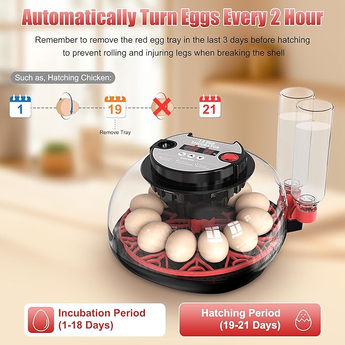 12 Egg Incubator with Temperature Control, Humidity Display, Automatic Egg Turner and Candler, Automatic Water Bottle Refill, for Hatching Chickens/Ducks/Gooses/Quail - Image 4