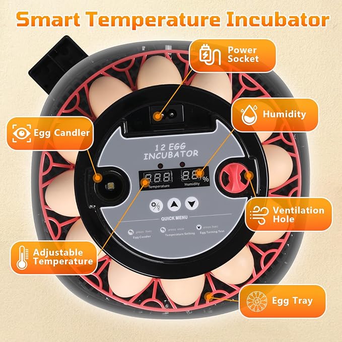 12-Egg Incubator, Automatic Egg Turning Function, Humidity Control, External Water Bottle for Watering, 360° Observation, Suitable for Chickens, Ducks, Geese, and Quails - Image 3