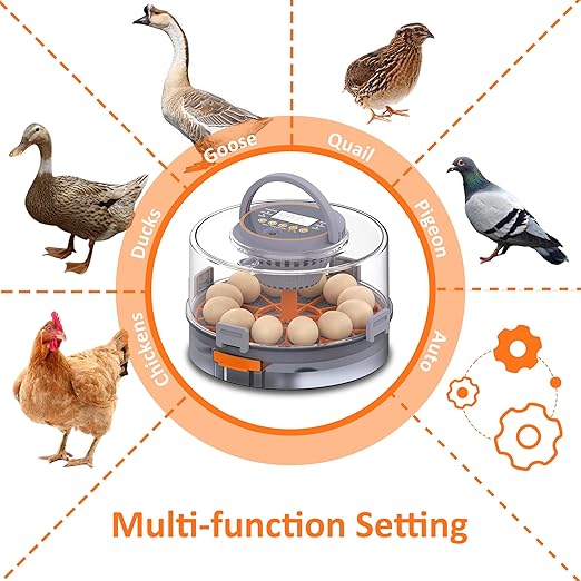 12 Egg Incubator with Automatic Egg Turning and Humidity Control, Intelligent Egg Incubator with Automatic Temp. Adjustment - Image 7