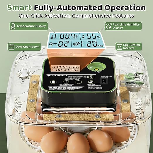 Incubators for Hatching Eggs 12 Egg Digital Egg Incubator Precision Auto Temp Humidity Control 6 Gear Adjustable Auto Turner Auto Stop Turning Hatching Days Display for Chicken Duck Goose Eggs - Image 3