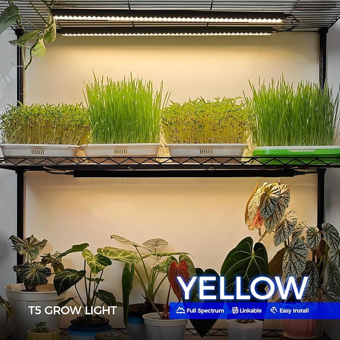 Barrina T5 Grow Lights for Indoor Plants, 2FT 40W (4 X 10W) Magnetic Installation, Full Spectrum Grow Light Strip with Individual Switch, Grow Lamp with Black Cover, Plug and Play, Yellow, 4 Packs - Image 3