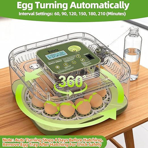 Automatic 12 Egg Incubator - Digital Temperature/Humidity Display, Hatch Day Countdown, Auto Egg Turner & Candler with 360° View for Hatching Chicken, Duck, Quail Eggs - Image 6