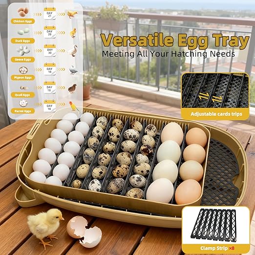 24 Incubators for Hatching Eggs, Egg Incubator with Humidity Control & Digital Temperature, Automatic Egg Turner, Hatch Day, Auto Water Refill, 360°Viewing for Chicken, Duck, Quail, Duck, Goose - Image 6