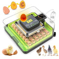 48 Egg Incubator for Hatching Eggs with Automatic Egg Turning, Temperature & Humidity Control, Egg Incubator with 360° View Window and Egg Candler, Incubator for Chicken, Duck, Quail Eggs by Innvello