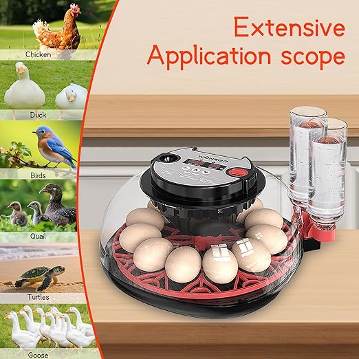 12 Egg Incubator for Hatching Eggs, Automatic Turner with Digital Temperature Humidity Control, 360° Clear View Lid, Auto Water Refill & Built-in Candler for Chicken Duck Quail Birds - Image 4