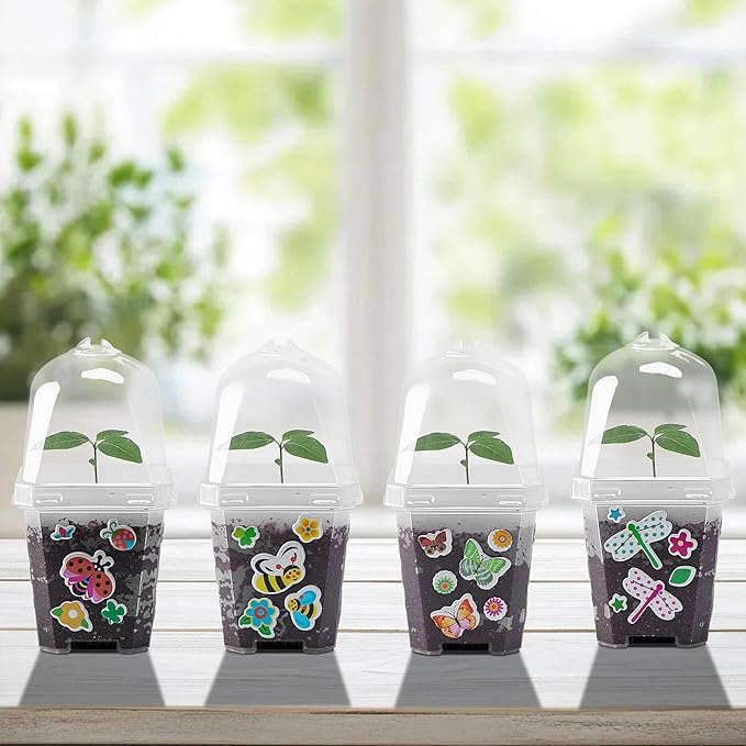 EBaokuup 10 Pack Clear Plant Nursery Pots with Humidity Dome-3" Reusable Plastic Gardening Pot with Printed Labels-Small Seed Starting Pots for Seedlings Vegetables Succulents Cuttings - Image 4