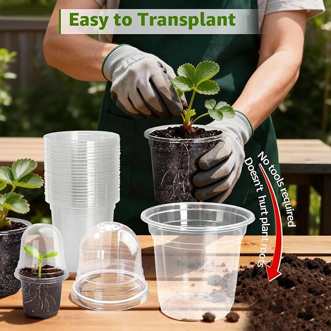 MIXC Clear Nursery Pots with Humidity Domes, 5/4/3.5 Inch Reinforced Transparent Plastic Pots for Planting with Drainage Holes, for Tomato Seedlings, Cactus, and Herbs, 30 Pack - Image 6