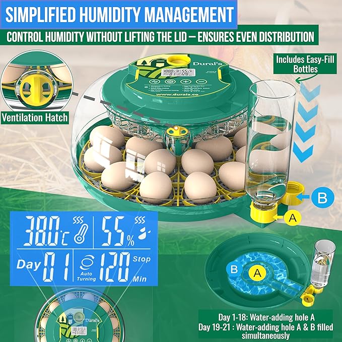 Dural's DX5® | Professional 18 Egg Incubator with Automatic Turning & Humidity Control | FCC Certified Egg Incubator | for Chicken, Quail, Duck Eggs | Precise Temperature | Easy to Clean (18 Eggs) - Image 4