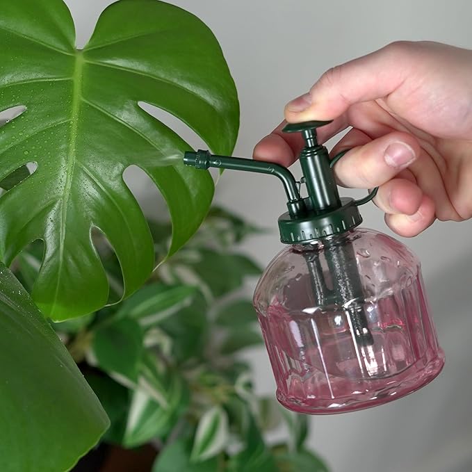 Houseplant Mister Spray Bottle – 180ml Pink Glass Plant Sprayer with Green Lid – Fine Mist for Humidity Control – Stylish Indoor Plant Care Accessory – Ergonomic and Leakproof Design - Image 2