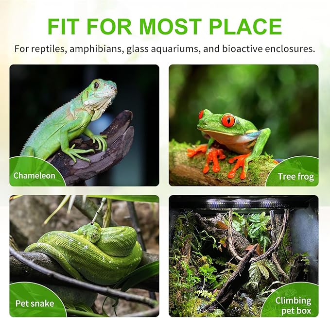 Reptile Mister System, External Timer & 360° Adjustable Nozzle, Humidifier for Reptiles, Amphibians, Rainforest Plants and Aquariums - Image 7