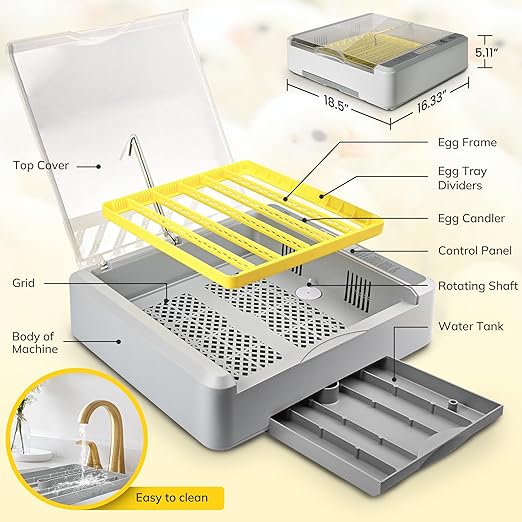 36-60 Egg Incubator with Automatic Egg Turning and Humidity Control, Chicken Egg Incubator with Digital Display, Adjustable Egg Incubators for Hatching Eggs Include Chicken Duck Quail Eggs - Image 6